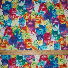 Timeless Treasures Rainbow Cat Faces