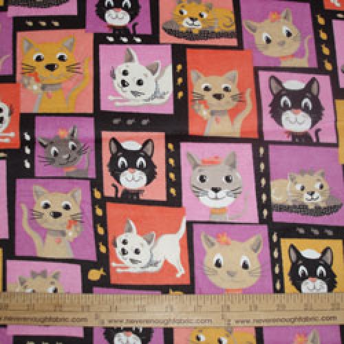 Creative Springs FLANNEL with cats on it