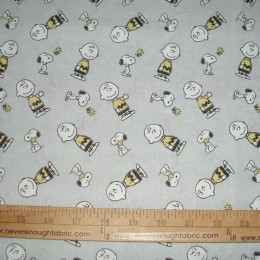 Charlie Brown Snoopy and Woodstock on gray