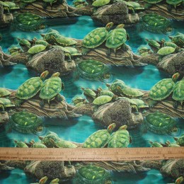 Turtles in a pond   Digital print!
