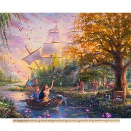 Disney Dreams Pocahontas Blanket top panel