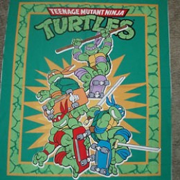 Cotton Quilt Blanket top panel Teenage Mutant Ninja Turtles on skateboards